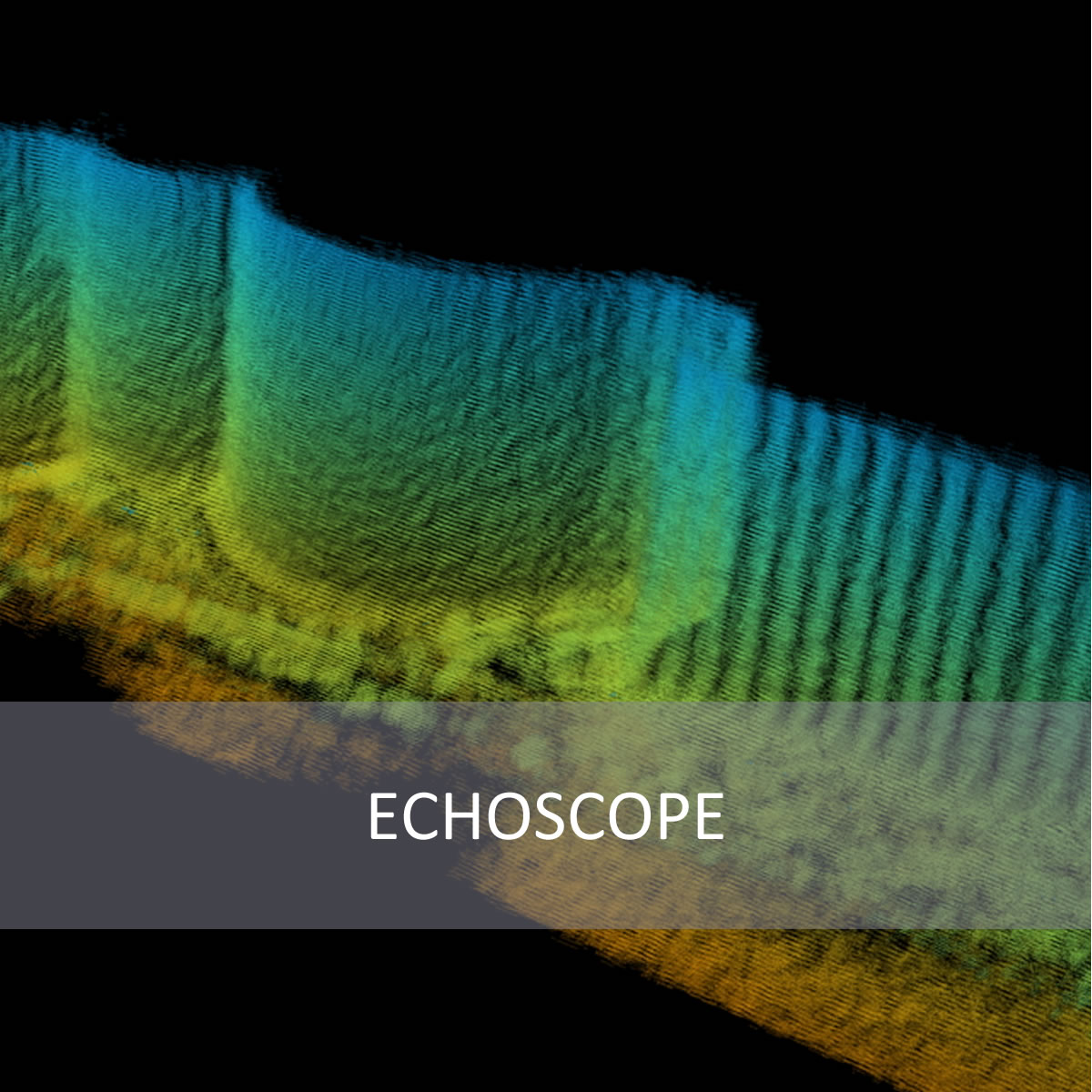 Echoscope